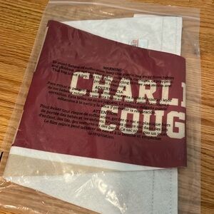 Charleston Cougars Pennant